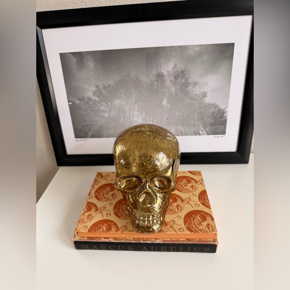Metallic gold glass skull decor - Picture 5 of 9